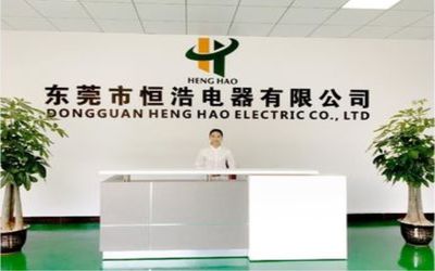 Китай Dongguan Heng Hao Electric Co., Ltd